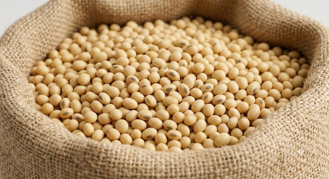 Soya (Soybeans)
