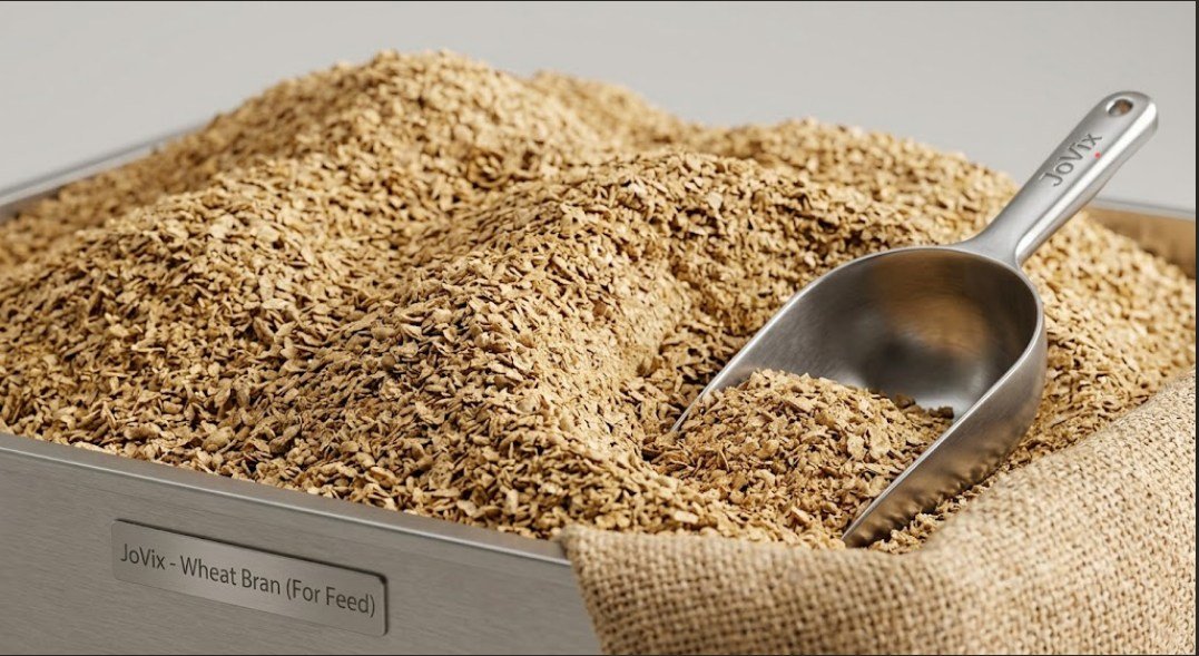 Wheat bran for animal feed